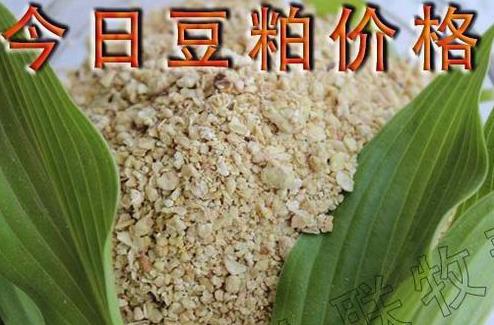 博民生物科技 第228页