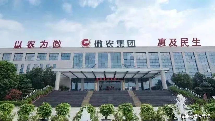 傲农今年能上市吗,傲农今年能否成功上市，一场期待与机遇的博弈，傲农上市之路，期待与机遇的博弈能否成功？