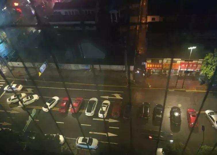 博民生物科技 第138页