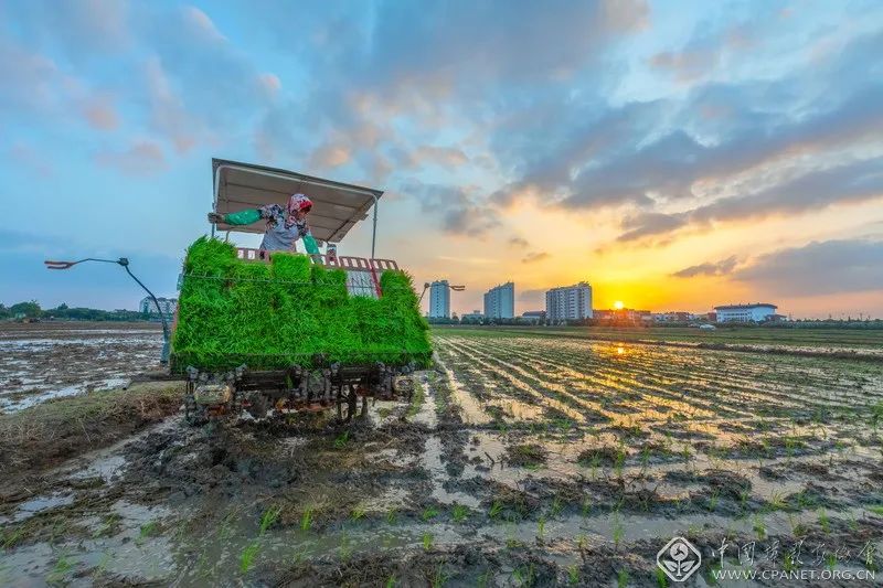 博民生物科技 第128页
