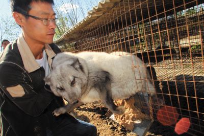 博民生物科技 第96页