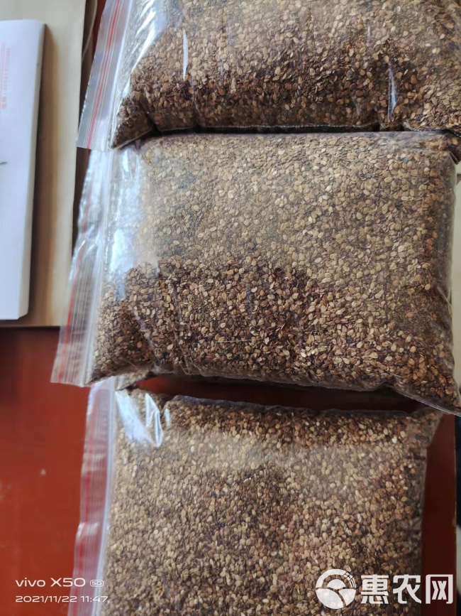 芝麻粕最新报价,芝麻粕最新报价，洞悉市场动态，把握商机脉搏，芝麻粕最新报价，洞悉市场动态，把握商机脉搏
