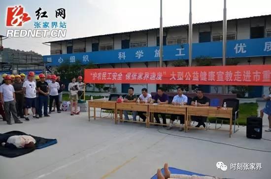 油价最新新闻,油价最新新闻，全球能源市场的微妙变化与未来展望，全球能源市场油价动态，最新新闻与未来展望
