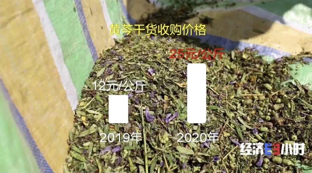 黄芩价格最新走势,黄芩价格最新走势，市场波动背后的因素解析，黄芩价格最新走势解析，市场波动背后的因素探讨