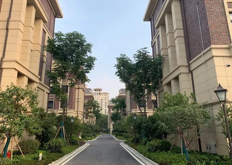 镇江最新房源,镇江最新房源，探寻城市中的理想居所，探寻镇江最新房源，理想居所一览无余
