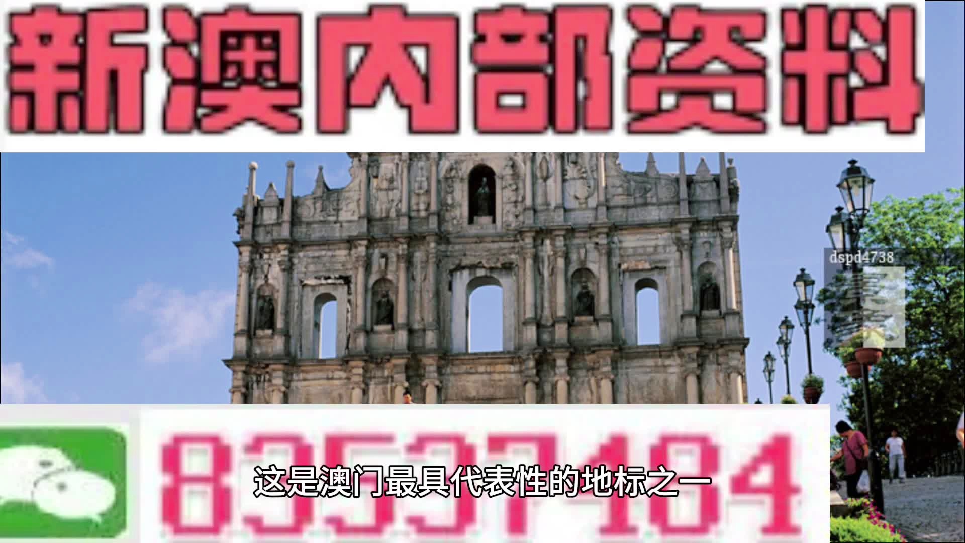 2024新澳门精准免费大全,科学分析解释说明_妹妹版95.303