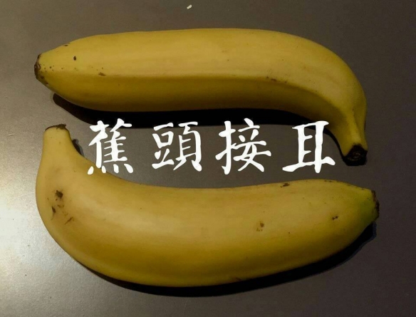 大香蕉大香蕉最新视频,探索大香蕉的世界，最新视频展现的自然魅力，探索大香蕉的世界，最新视频展现自然魅力与独特魅力